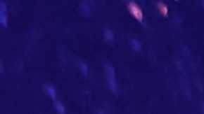 La luna llena de abril, conocida como Luna Rosa, afectará a todos los signos.