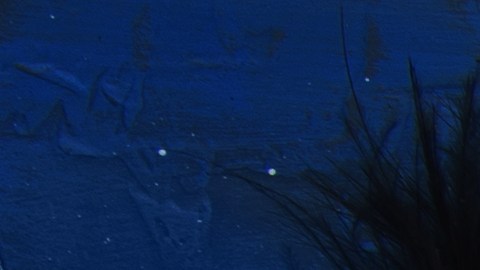 La astrología te dice qué ritual hacer para esta luna nueva en Aries.