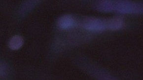 Millie Bobby Brown y Jake Bongiovi