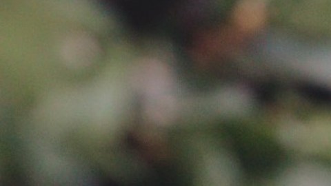 mujer morena latina embarazada FREE