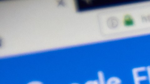 Google Flights