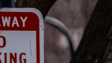 Los delitos por intolerancia contra los asiáticos aumentaron en 1771.5% en EEUU.