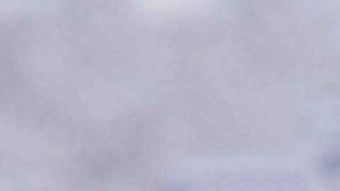 El azúcar se sintoniza con la energía de la prosperidad y abundancia.