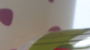 Imagen de un contenedor de la marca Tuperware, con colores rojos y verds.