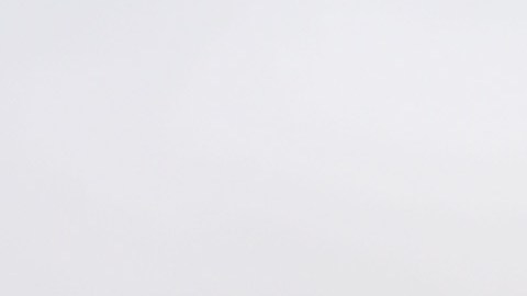 Peridistas de Tijuana y San DIego llevaron alimento a los migrantes en el muro fronterizo.