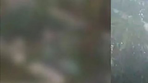 Qué se sabe de los 4 niños desaparecidos tras un accidente aéreo en la selva colombiana en el que murieron todos los adultos