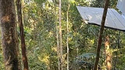 "Soy su abuelita Fátima. Tienen que estar quietos": el conmovedor mensaje que se utiliza en la búsqueda de los 4 niños desaparecidos en la selva colombiana