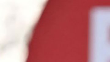 Qué llevó al presidente Pedro Sánchez a anunciar el sorpresivo adelanto electoral en España