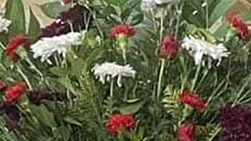 Sacerdote Javier García Villafaña