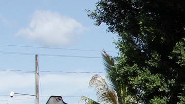 Nayib Bukele: "Vamos a arrasar con estos malditos asesinos"