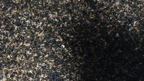 Washington ofrece millonaria recompensa por ciberpirata ruso que ha atacado hospitales y escuelas