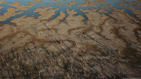 El mundo debe prepararse para El Niño y nuevas temperaturas récord: ONU