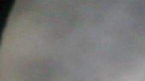 Sol