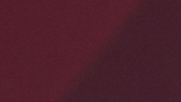 López Obrador denunció que los traficantes de migrantes o "polleros" cobran hasta $10,000 dólares.