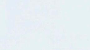 AMLO negó que sus hijos sean corruptos y acusó a la prensa de acoso