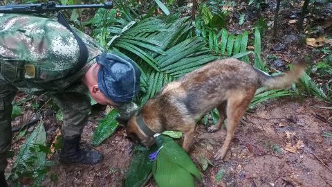 Búsqueda de niños desaparecidos en Colombia