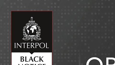 Interpol publica fotos de mujeres asesinadas en Europa para ayudar a su identificación