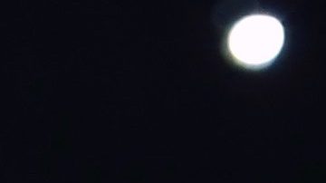 Dayanara Torres lanza indirecta a Marc Anthony | Mezcalent