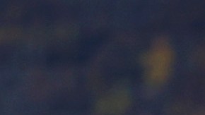 Aficionados del Borussia Dortmund aplauden a su equipo a pesar de perder la Bundesliga en la última fecha.