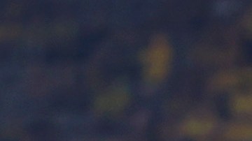 Aficionados del Borussia Dortmund aplauden a su equipo a pesar de perder la Bundesliga en la última fecha.