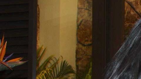 Bárbara de Regil también se ha convertido en una auténtica influencer de las redes sociales