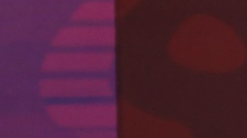 Comisión del Congreso de Perú pide declarar a AMLO como “persona non grata” tras críticas a gobierno de Dina Boluarte