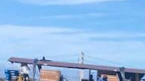 Representantes de los campesinos no creen mucho de lo que dice el presidente Trump.