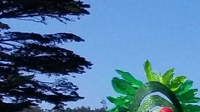 Fogo Na Roupa en el Parque presidio de San Francisco. (Cortesía)