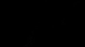 Chiquis Rivera, cantante de regional mexicano, durante un concierto en CDMX.