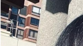 Joana Sanz y Dani Alves