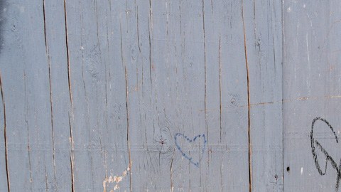 Familias esperan en la frontera entre Tijuana y San Diego.