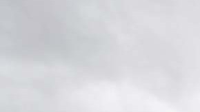 Presuntamente Lauren Heike no tenía ningún tipo de rivalidad con las personas con quienes convivía