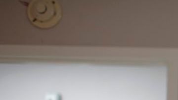 Una investigación registró señales similares de activación gamma en los cerebros moribundos de animales y humanos. / Foto: AFP/Getty Images