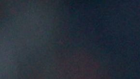 Steven Berghuis con Ajax.