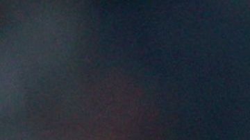 Steven Berghuis con Ajax.