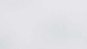 Donald Trump y Greg Abbott