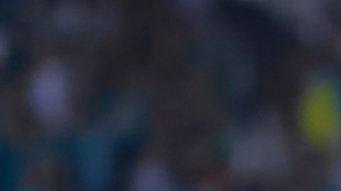 El León FC celebra uno de los goles a Tigres en semifinales de Concachampions.