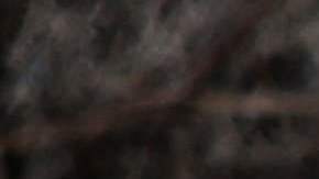 El boxeo ucraniano se reactiva en medio de la guerra.