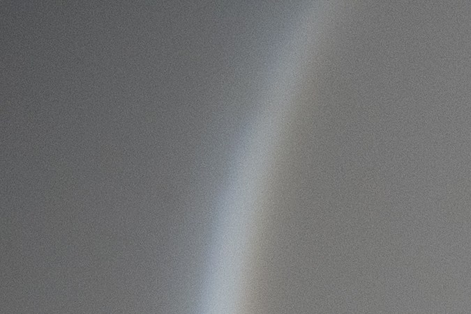 Mascotas sacrificadas en 2022 alcanzaron las 378,000; Texas y California encabezan lista de crisis animal