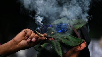 A marchas agigantadas avanza la legalización de la marihuana en el mundo
