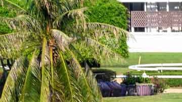 Hasta el momento la policía de Owasso no tiene ningn reporte de la riña que se produjo en el campo de golf