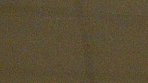 Foto referencial de una pizza.