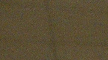 Foto referencial de una pizza.