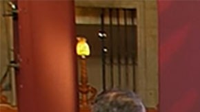 Captura de Rodrigo Páez Quintero