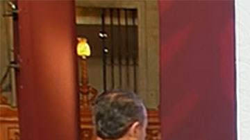 Captura de Rodrigo Páez Quintero