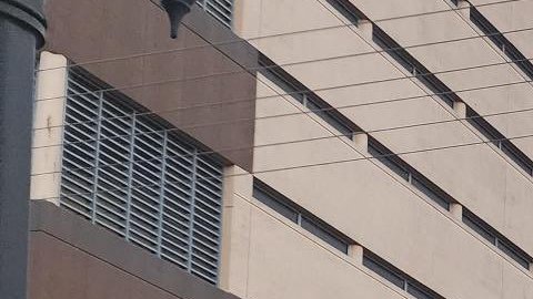 Hospitalizaron a 7 reclusos de una cárcel en Washington por aparente sobredosis de fentanilo