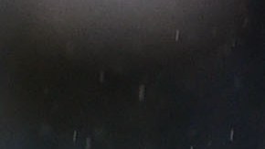 Robert Ergas celebra un gol.