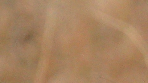 Matan a Loonkiito, uno de los leones más viejos del mundo cuando buscaba comida en una granja