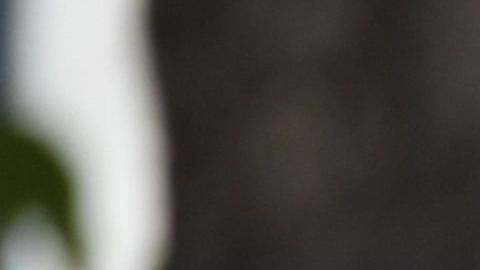 El FBI comenzó a publicar su lista de los diez fugitivos más buscados en marzo de 1950.