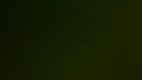 Un muerto y un herido tras un tiroteo en una tienda de alimentos en Miami